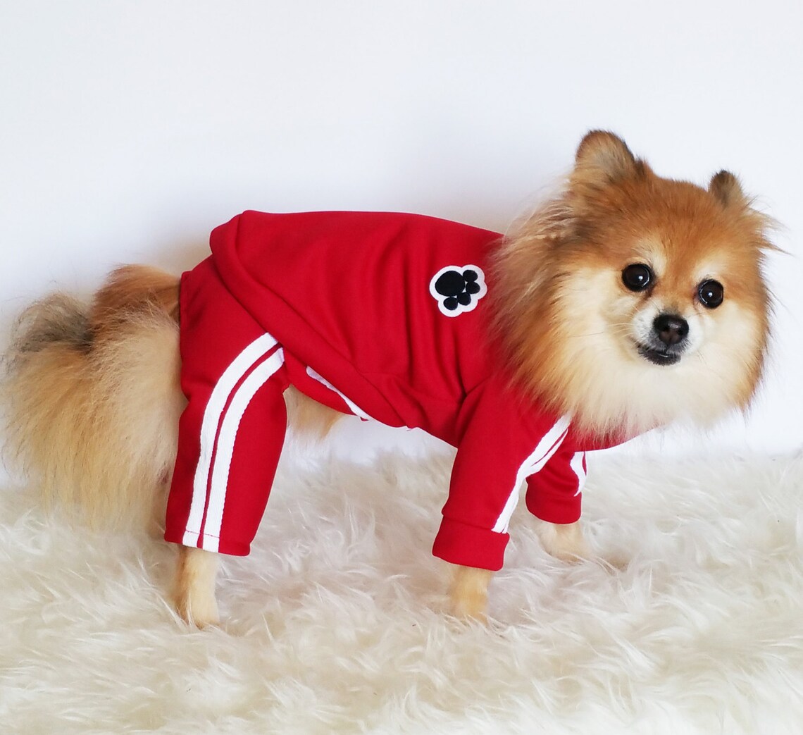 Red Stripe Dog Jersey Xs4xl Dog Clothes Puppy Jacket Dogs Etsy