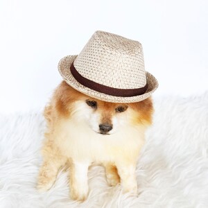 Straw Fedora for DOGS, CATS HANDMADE dog hats, tan dog caps, summer panama hat, cat cowboy hat, sun visor hat, pet accessories, dog hoodies image 5