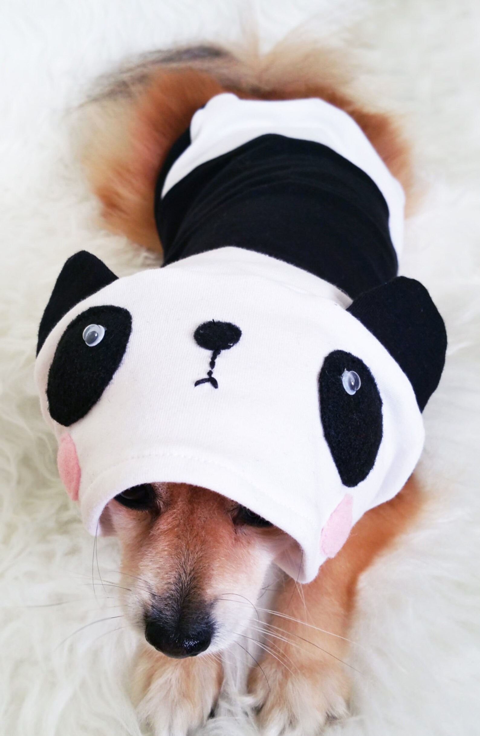 XS4XL Sizehandmade Dog Halloween Costume dog Panda Costume Etsy Canada