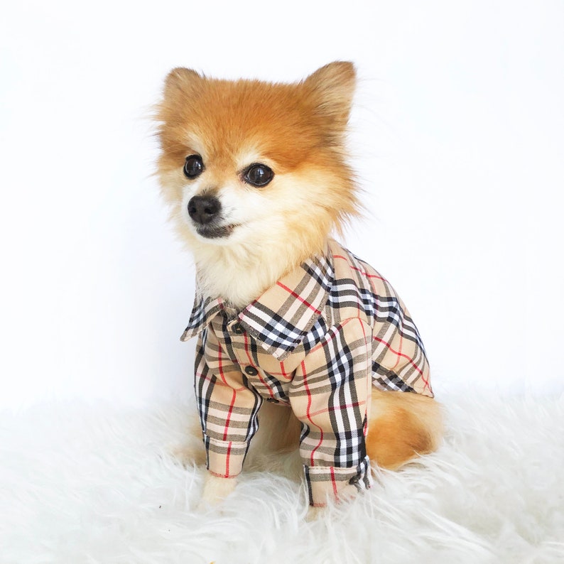 dog plaid shirt