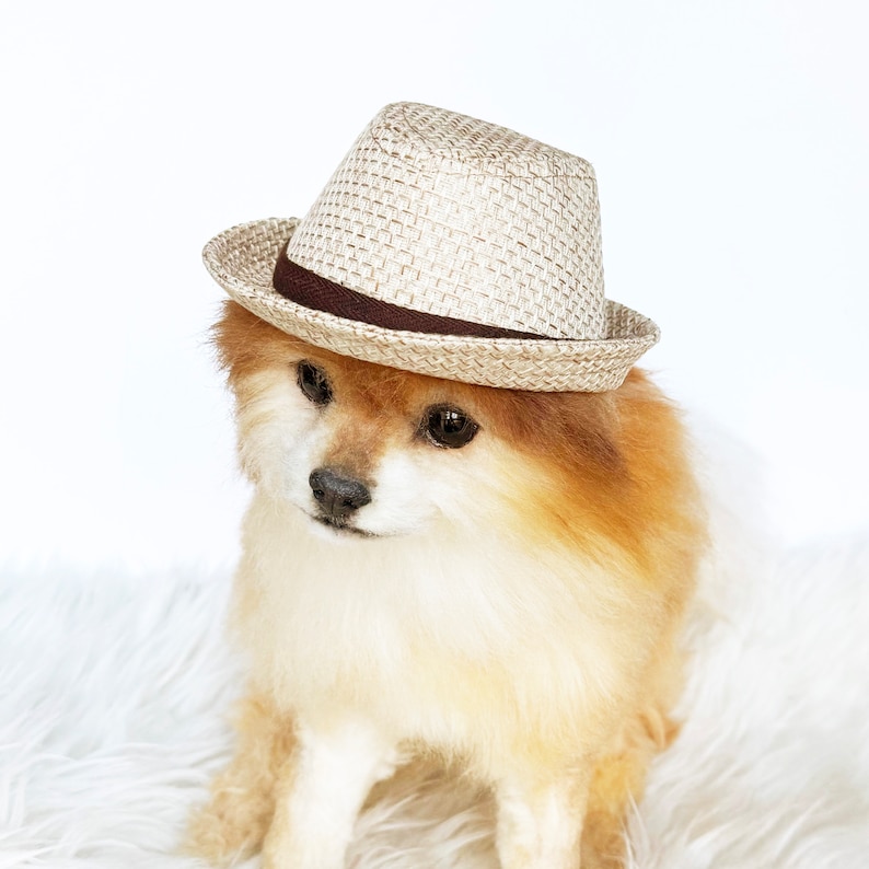 Straw Fedora for DOGS, CATS HANDMADE dog hats, tan dog caps, summer panama hat, cat cowboy hat, sun visor hat, pet accessories, dog hoodies image 4