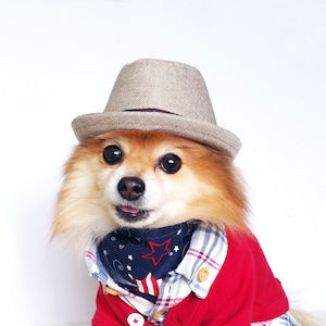 May include: A small, fluffy dog wearing a brown fedora hat and a red, white, and blue bandana. The dog is looking at the camera with a playful expression.