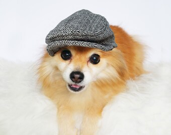 Ivy Caps for DOGS, CATS! HANDMADE dog hats, summer hat, cowboy hat, sun visor hat, sun hats, pet accessories, dog hoodies, puppy hunting cap