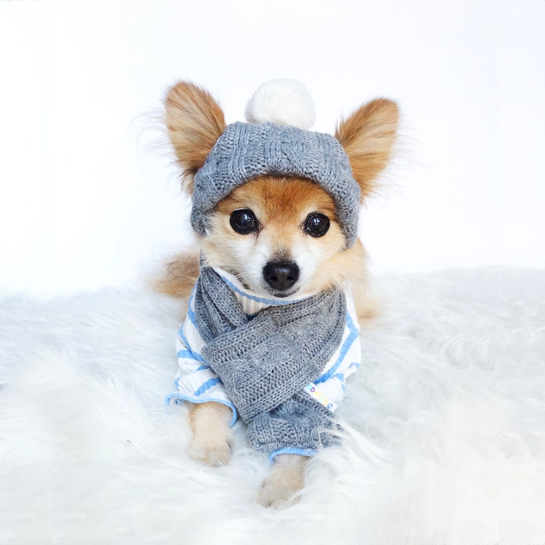 Dogs Winter Beanie Scarf Set HANDMADE Dog Hats Dog Caps Etsy