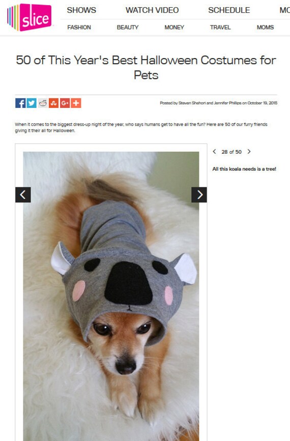 Xs4xl Sizehandmade Dog Halloween Costume Dog Koala Costume Etsy