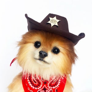 Western Cowboy Hat for DOGS, CATS! HANDMADE dog hats, dog caps, summer hat, fedora hat, sun hat, pet collar, dog hoodies, Halloween costumes