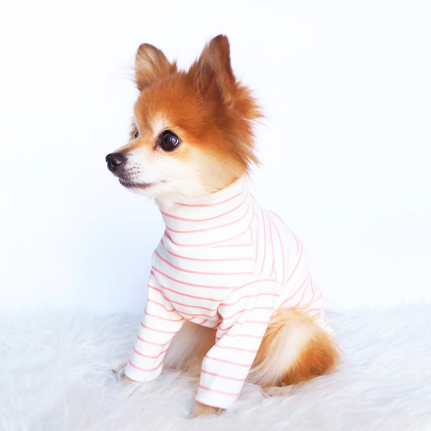 Dog Sweaters for Small Dogs Cute Pet Turtleneck Sweaters Puppy Knitted –  KOL PET