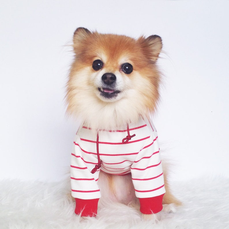 Navy Black Red striped Hoodie, Dog hoodie, Cute Dog clothes, Pet clothes, Fashion for dogs puppies, puppy tshirt, pup pullover, tops for dog image 5