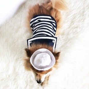 Navy White dog clothes, marine look dog tops, XS~4XL, pet boat t-shirts, small dogs outfit, summer clothes, puppy sailor hoodie, dog hoodies