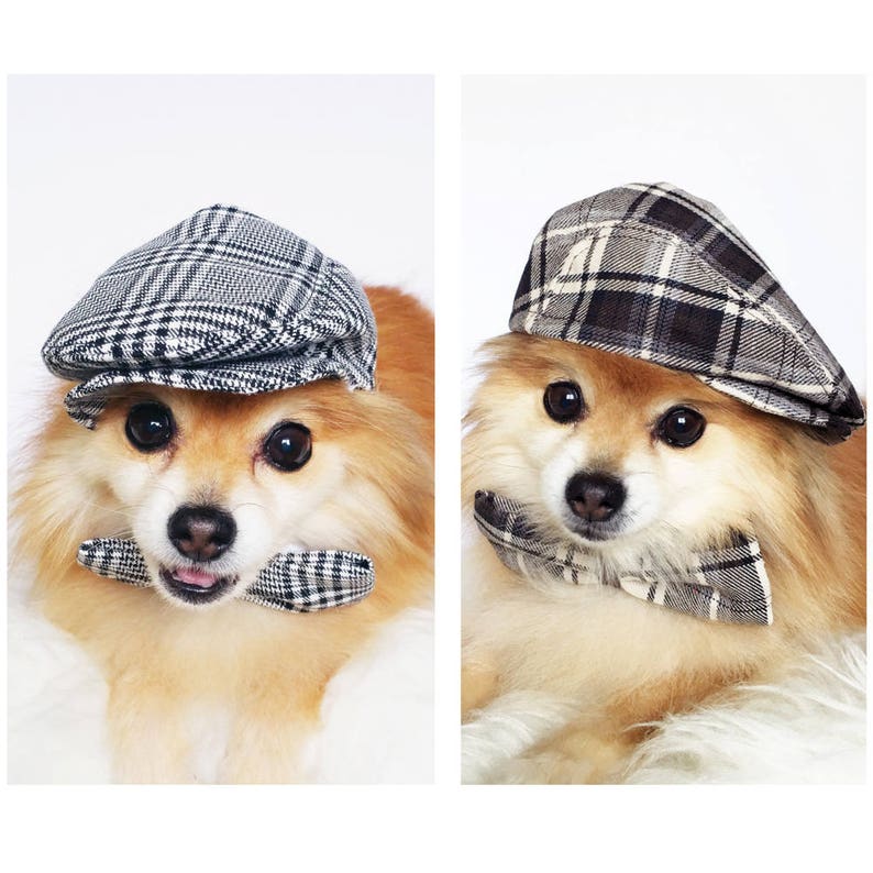 Ivy Caps for DOGS CATS HANDMADE Dog Hats Summer Hat Cowboy Etsy