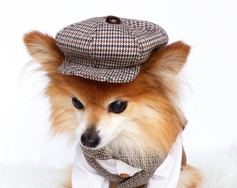 Dog newsboy hat hot sale