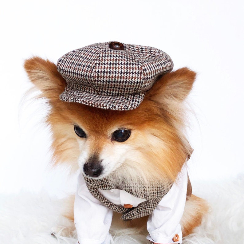 Dogs Newsboy Cap & Bowtie HANDMADE Dog Hats Dog Caps Etsy