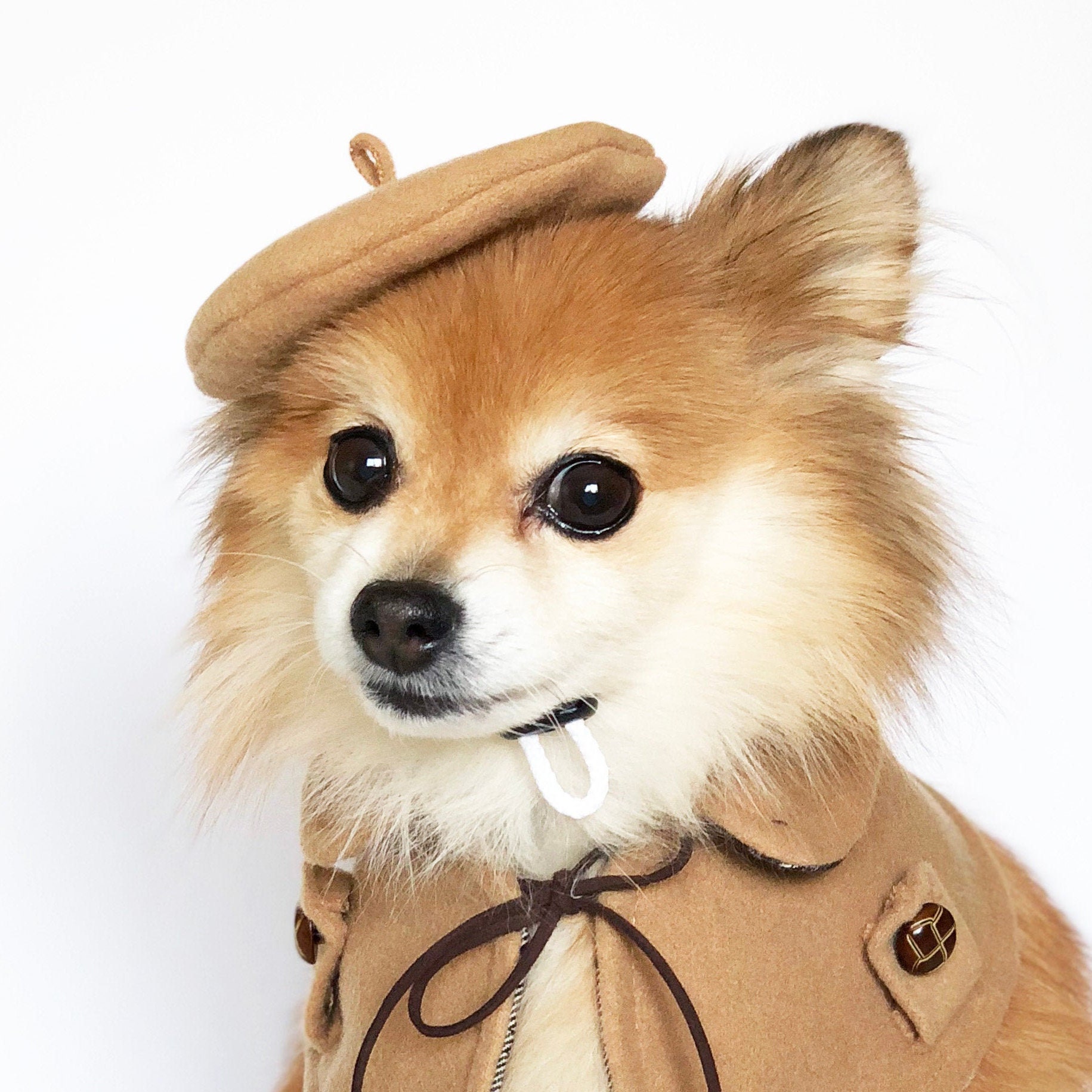 Dogs Beret Cashmere Artist Hat HANDMADE Dog Hats Dog Caps Etsy