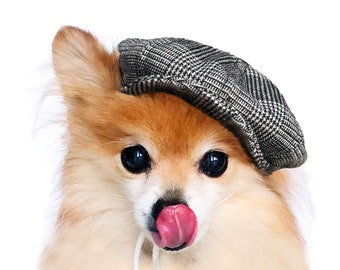 Dogs Newsboy Cap! HANDMADE dog beret hats, dog baker boy caps, baseball hat, sweater cap, flat cap, pet accessories, dog hoodies, puppy hats