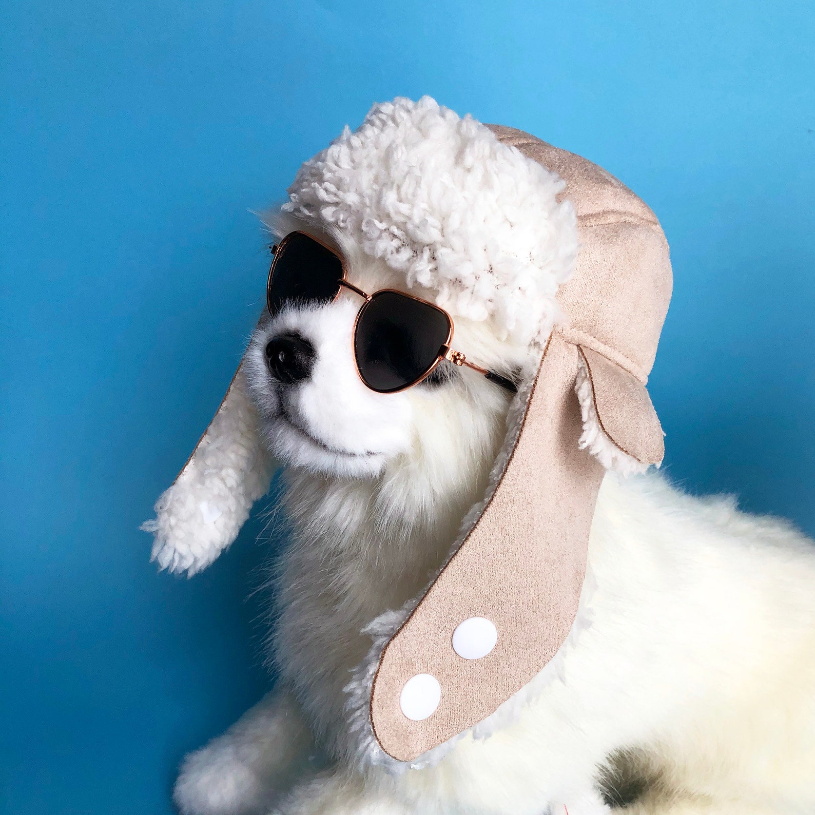 Dogs Trapper Hat HANDMADE dog aviator hats dog caps puppy Etsy