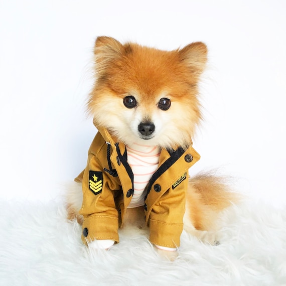  Dog Sweater Dog Pullover Shirt Pet Autumn Winter Warm Clothes  Dog Overalls Cat Clothes Apparel Puppy Striped Sweater Coat Puppy Pajamas  Outfits Dog Sweatshirt Holiday Costumes Grey S : Pet