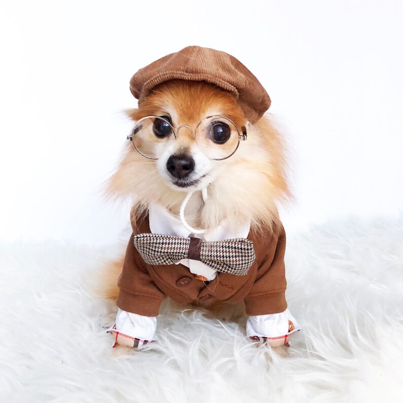 Dogs Newsboy Cap & bowtie HANDMADE dog hats dog caps Etsy