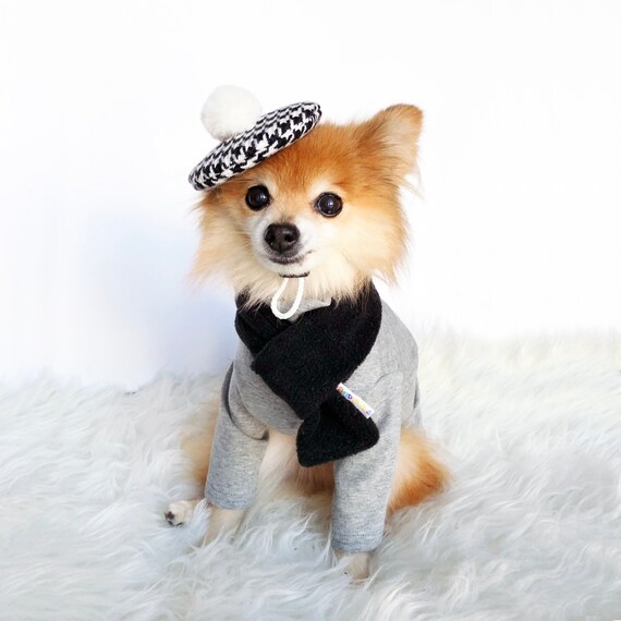 dog beret hat