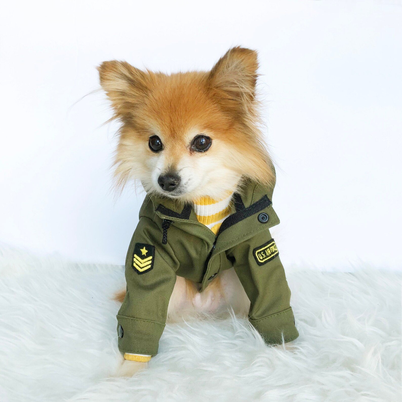 Dog Military Jackets Army Coats Puppy Clothes Pet Hoodies Etsy