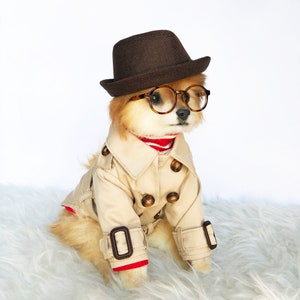 Dog Tan, Black Trench coats, small dogs raincoat, puppy clothes, pet hoodies, luxury dog jacket, puppy hoodie, winter dog sweater, pup coats