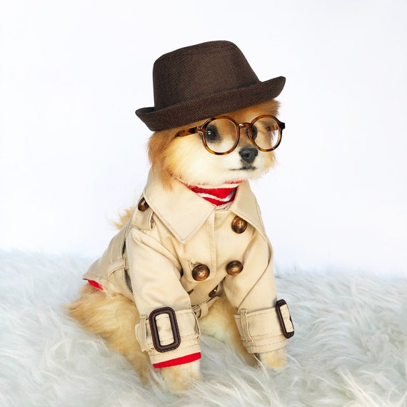 Dogs in trench coats 2025
