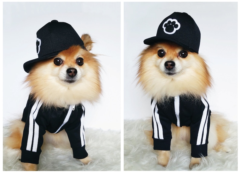 Black Stripe Dog Jersey Xs4xl Dog Clothes Dogs Hoodies Etsy Canada