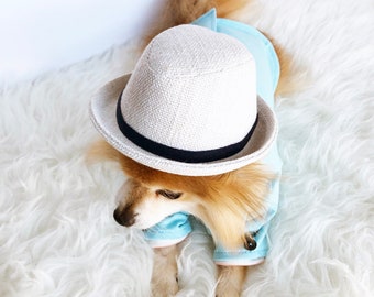dog fedora hat
