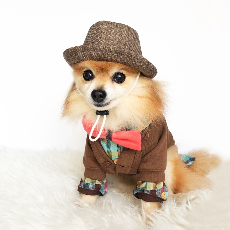 Brown Fedora for DOGS HANDMADE dog hats 