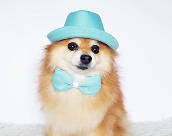 Fedora for DOGS, CATS! HANDMADE dog hats, dog caps, summer hat, cowboy hat, sun visor hat, sun hat, pet accessories, dog hoodies, dog outfit