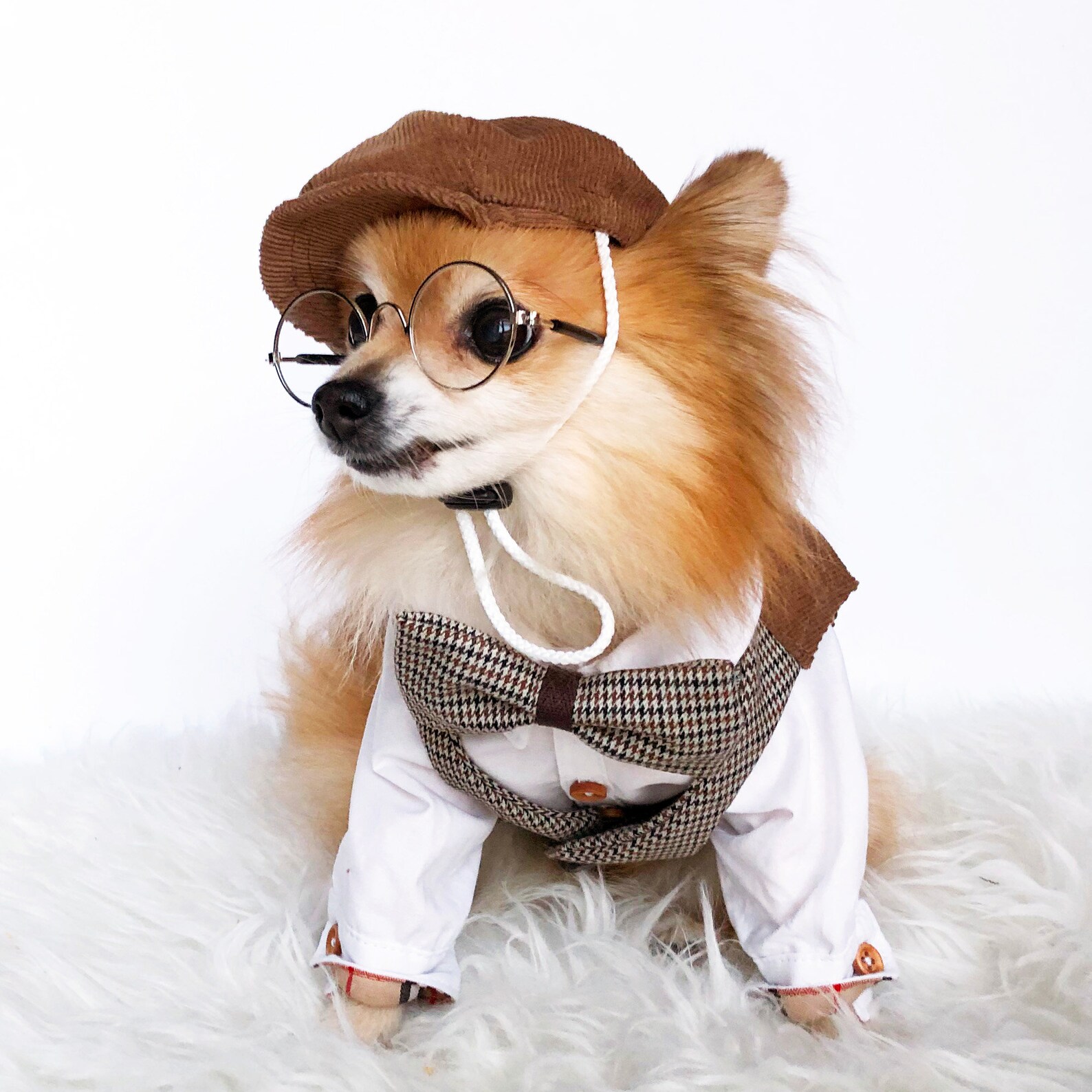 Dogs Newsboy Cap & bowtie HANDMADE dog hats dog caps Etsy