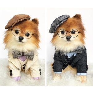 May include: Two small dogs wearing matching outfits. Both dogs are wearing a suit jacket, a bow tie, a shirt, and a hat. The dog on the left is wearing a beige suit jacket with a brown hat, while the dog on the right is wearing a gray suit jacket with a gray and white plaid hat.