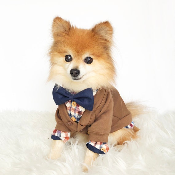 outfits for small dogs