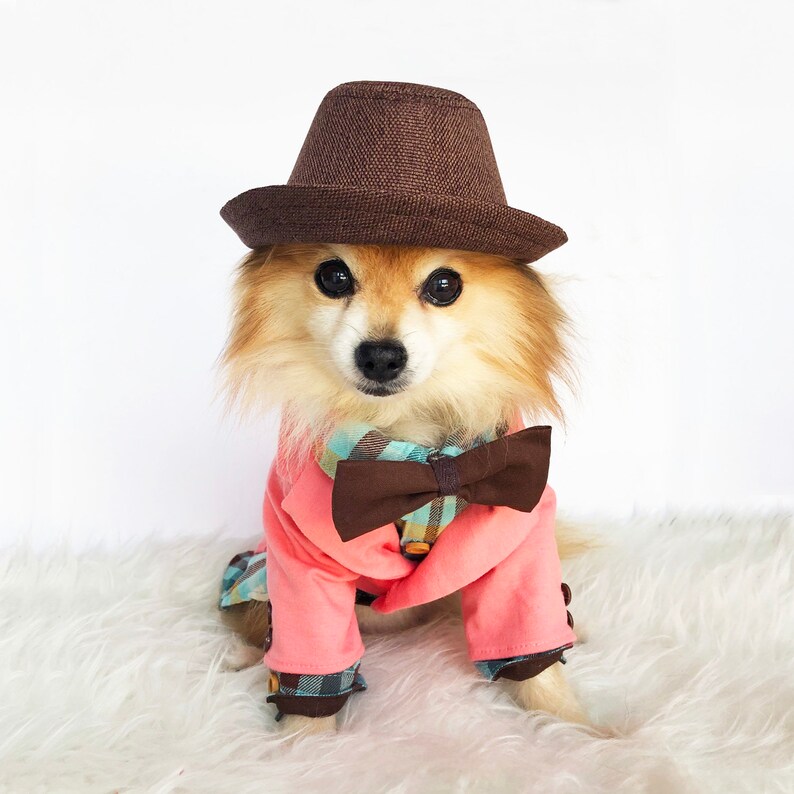 dog fedora