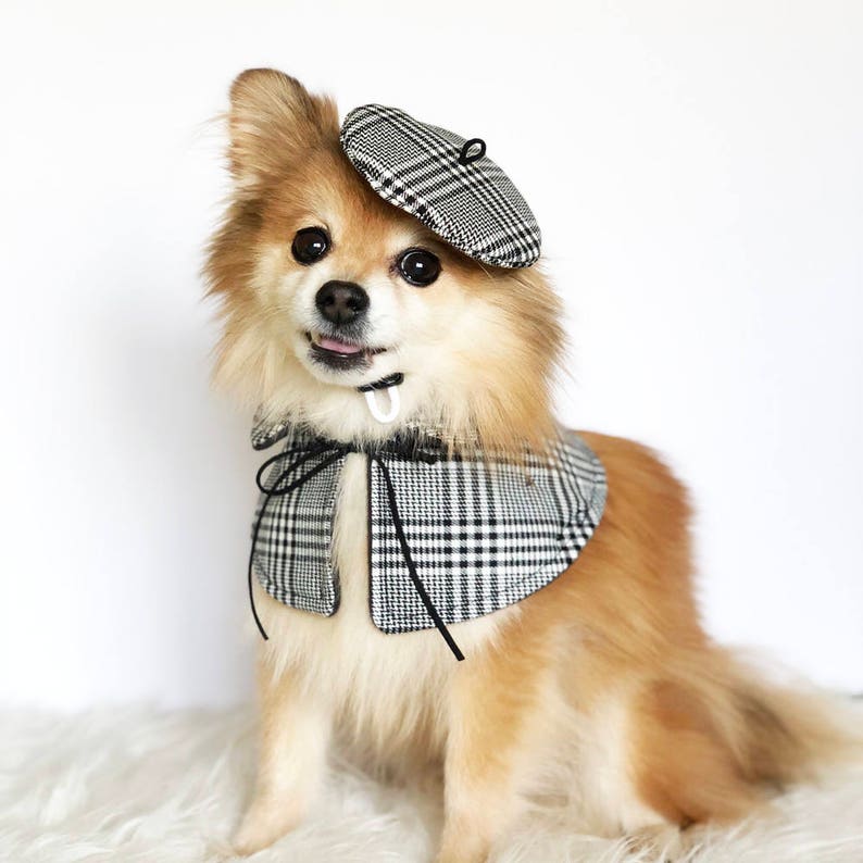 Dogs Beret Cape Set HANDMADE Dog Hats Dog Caps Baseball Etsy