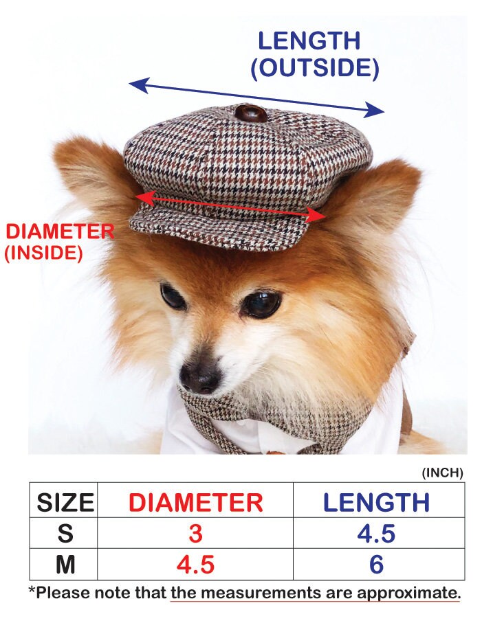 Newsboy hat for clearance dogs