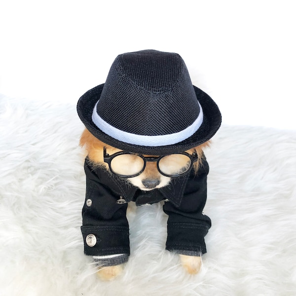 Black Fedora for DOGS, CATS! dog hats, dog caps, summer hat, cowboy hat, sun visor hat, sun hat, pet accessories, dog hoodies, dog outfit