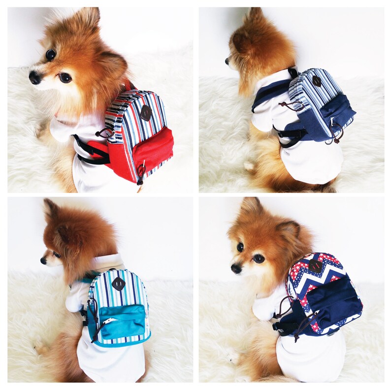 Dog Backpack Dogs Harness Vest Puppy Clothes Small Dog Etsy