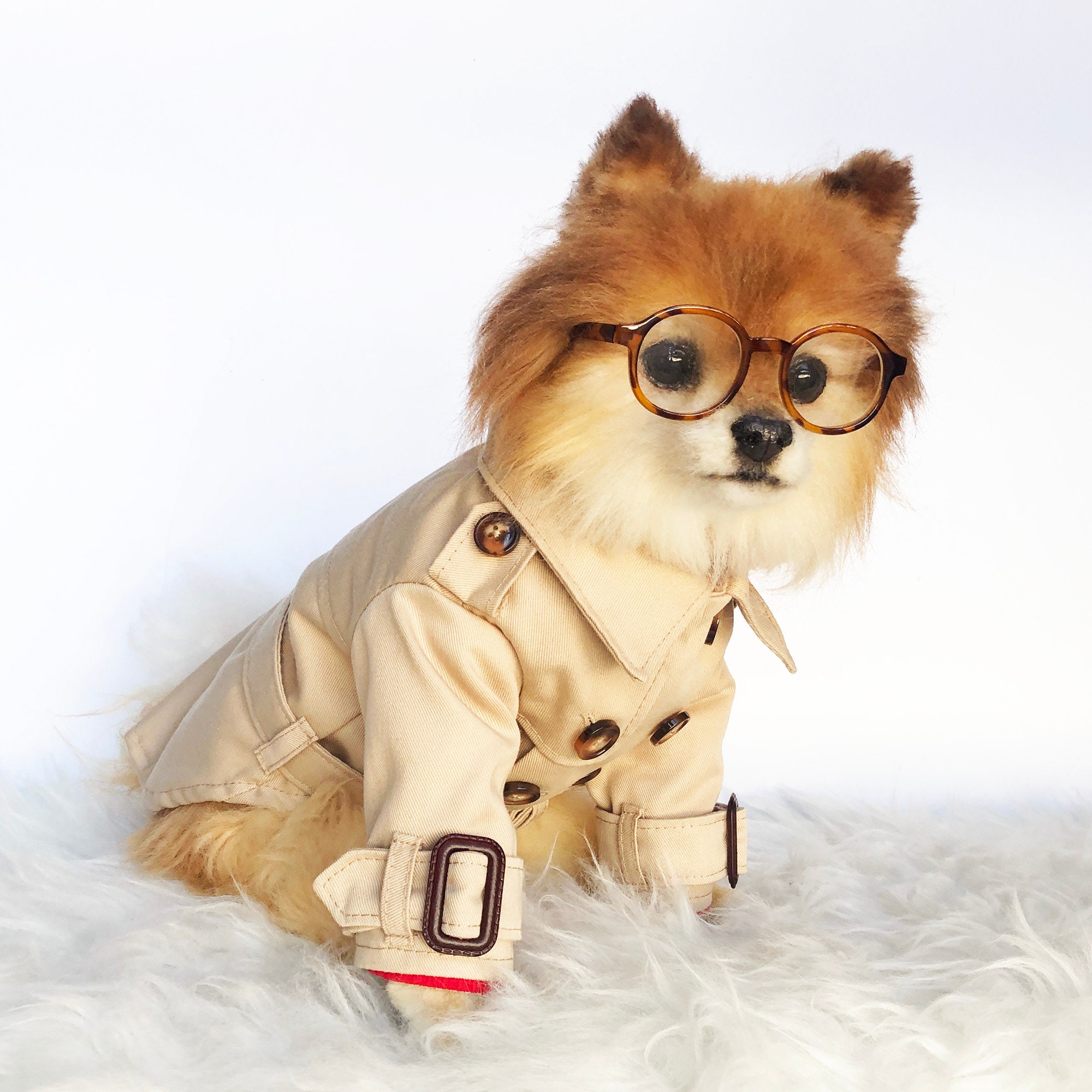 Dogs in trench coats cheap