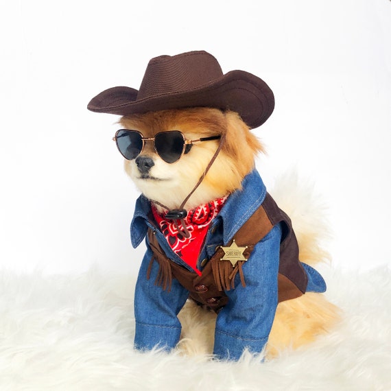 Dog Cowboy Hat Pet Brown Costume Dog Cowboy Hat Pet Brown Costume