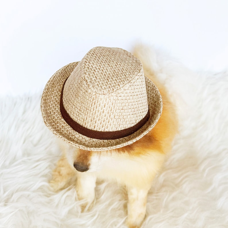 Straw Fedora for DOGS, CATS HANDMADE dog hats, tan dog caps, summer panama hat, cat cowboy hat, sun visor hat, pet accessories, dog hoodies image 8
