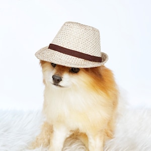 Straw Fedora for DOGS, CATS HANDMADE dog hats, tan dog caps, summer panama hat, cat cowboy hat, sun visor hat, pet accessories, dog hoodies image 7