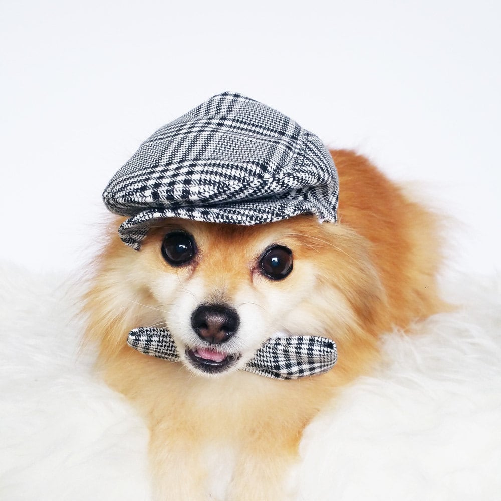 Ivy Caps for DOGS, CATS! HANDMADE Dog Hats, Summer Hat, Cowboy Hat
