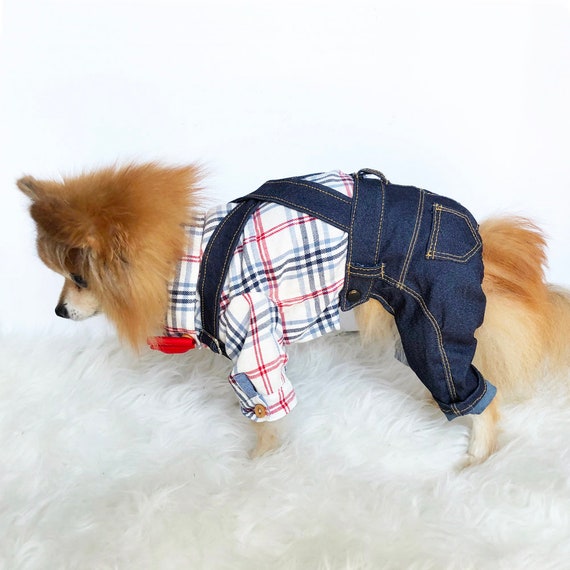 dog jeans Cheaper Than Retail Price> Buy Clothing, Accessories and