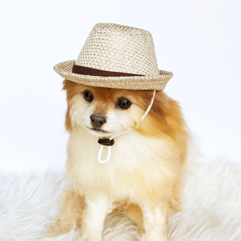 Straw Fedora for DOGS, CATS HANDMADE dog hats, tan dog caps, summer panama hat, cat cowboy hat, sun visor hat, pet accessories, dog hoodies image 3