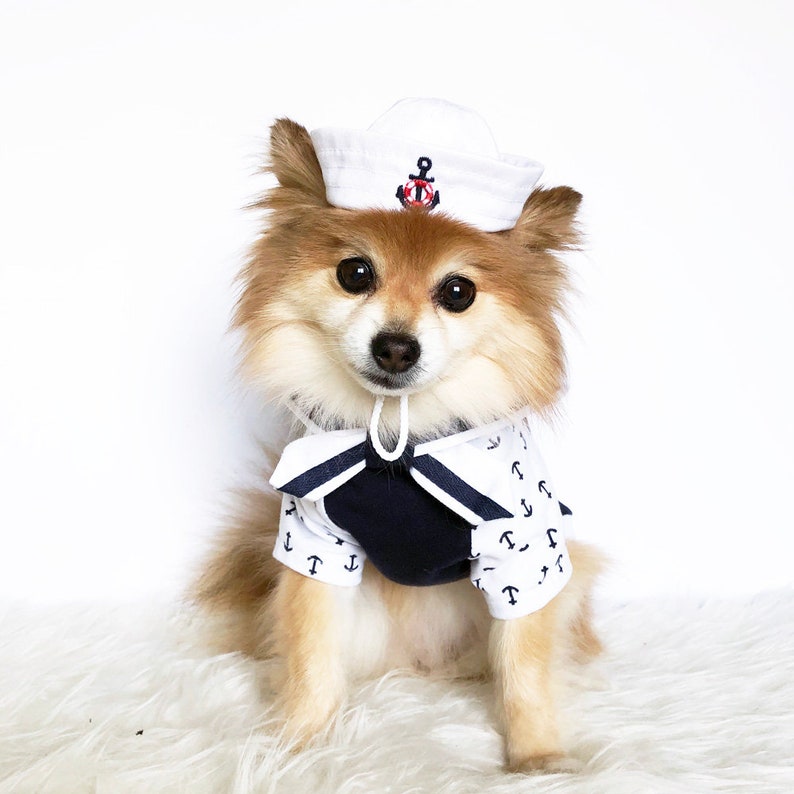 Dogs Sailor Hat Cape Set HANDMADE Dog Hats Dog Caps Marine Etsy