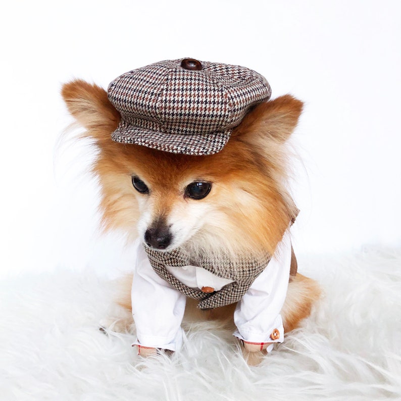 Dogs Newsboy Cap & bowtie HANDMADE dog hats dog caps Etsy