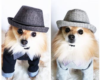dog fedora