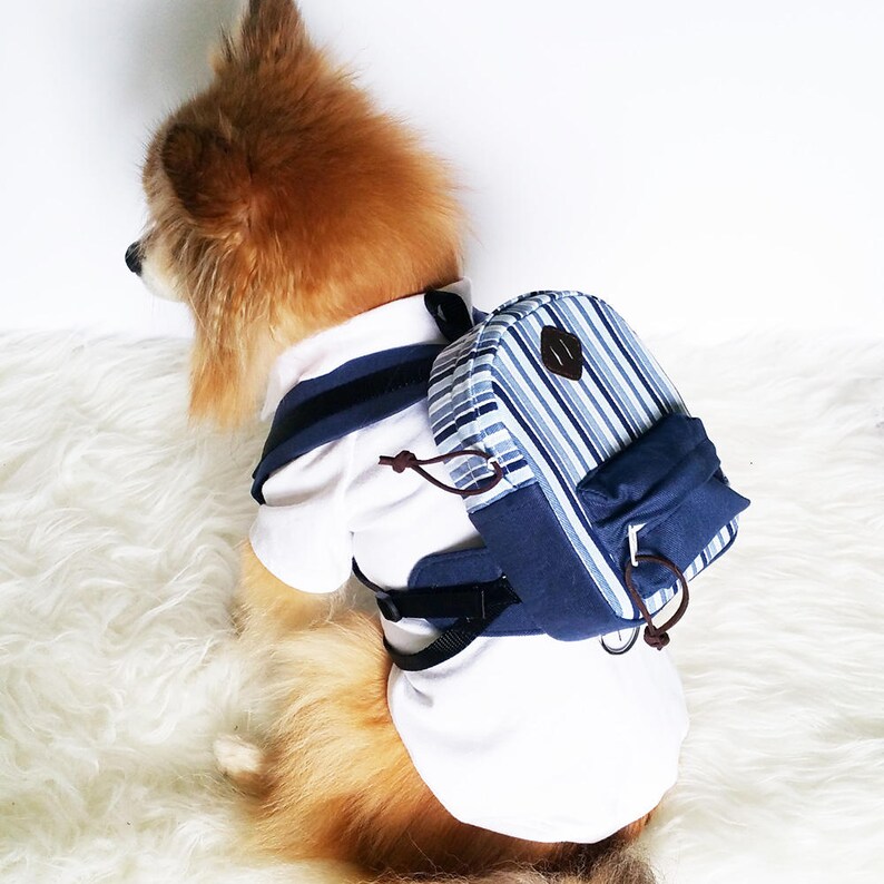 Dog backpack dogs harness vest puppy clothes small dog Etsy