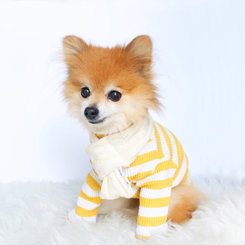 Dogs Winter Beanie Scarf Set HANDMADE dog hats dog caps Etsy