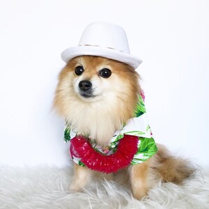 Dog Hawaiian Shirts, summer shirts, puppy dress shirt, dog wedding, dogs tuxedo, casual pet clothes, dog shirts, dog clothes, puppy travel